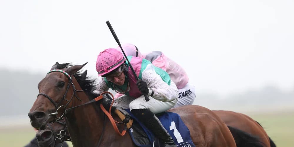 Bluestocking sees off all-comers in Prix Vermeille Bluestocking sees off all-comers in Prix Vermeille