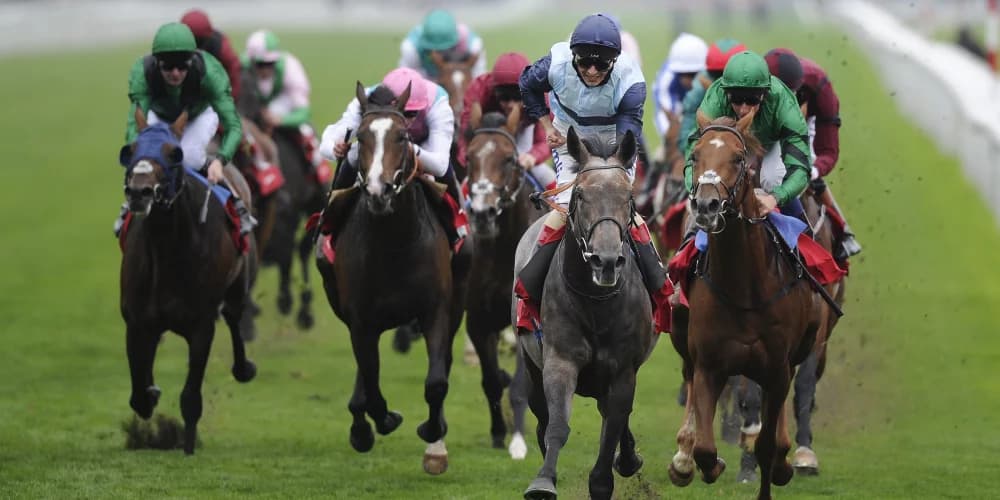 ‘A great moment’ – Kingston Hill set Varian on road to Classic summit ‘A great moment’ – Kingston Hill set Varian on road to Classic summit