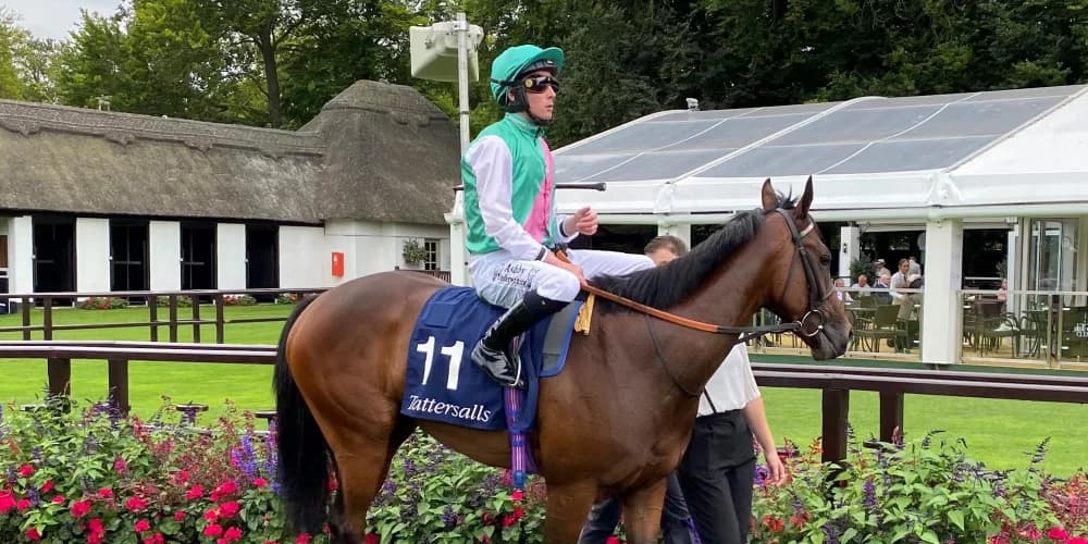 Nice test likely to be next for Salisbury winner Tabiti Nice test likely to be next for Salisbury winner Tabiti