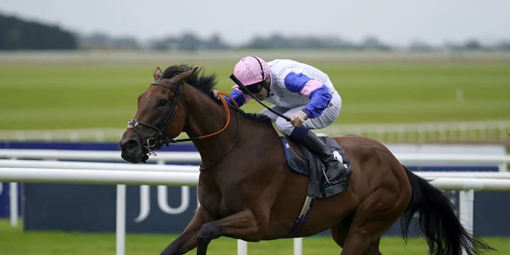 You Got To Me Set for Winter Break After St Leger Disappointment, Future Looks Bright You Got To Me Set for Winter Break After St Leger Disappointment, Future Looks Bright