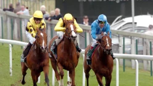 The Three Hundred: Gai Waterhouse's Rising Star in Spring Stakes The Three Hundred: Gai Waterhouse's Rising Star in Spring Stakes