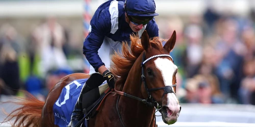 Economics Delivers Group One Masterclass in Fierce Irish Champion Stakes Showdown Economics Delivers Group One Masterclass in Fierce Irish Champion Stakes Showdown