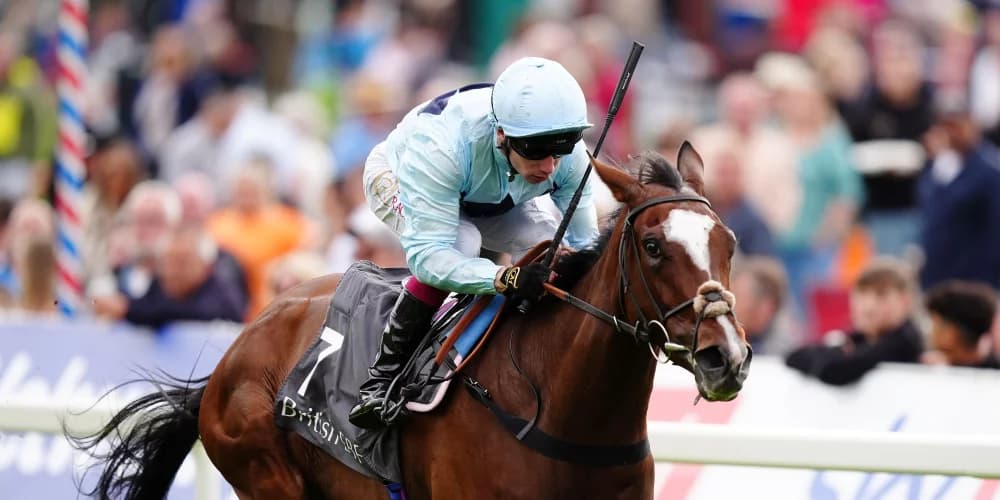 Scenic Aims High in Betfred Park Hill Fillies' Stakes at Doncaster Scenic Aims High in Betfred Park Hill Fillies' Stakes at Doncaster