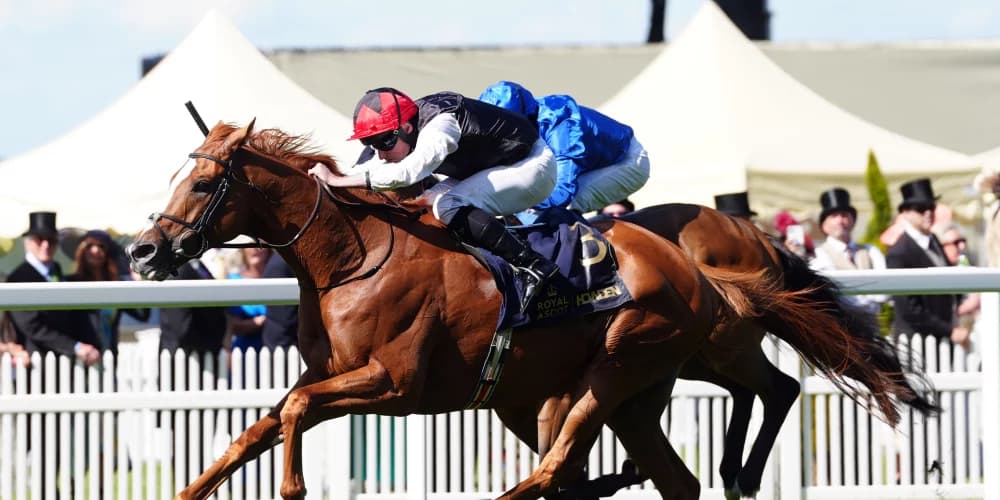 Resurgent Kyprios looking to snatch back Irish St Leger title Resurgent Kyprios looking to snatch back Irish St Leger title