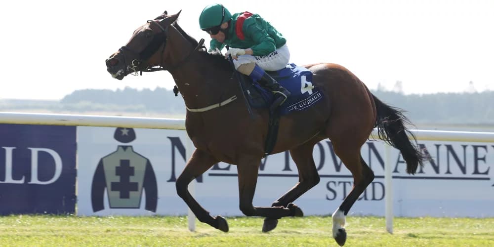 Tarawa takes Snow Fairy spoils for Weld Tarawa takes Snow Fairy spoils for Weld