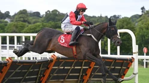 Saint Sam Leads Favorites in Clonmel Oil Chase Showdown Saint Sam Leads Favorites in Clonmel Oil Chase Showdown