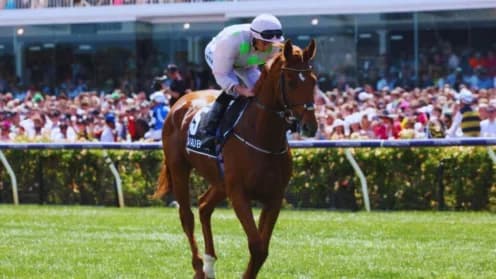 Vauban Joins Australian Racing Scene in $2 Million Deal