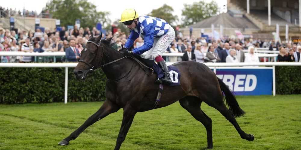 Cotter prioritises Sceptre protection for Matilda Picotte. Cotter prioritises Sceptre protection for Matilda Picotte.