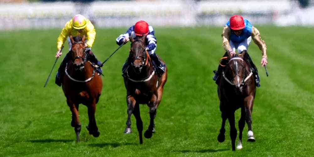 Cheveley Park bid not out of the question for Maw Lam Cheveley Park bid not out of the question for Maw Lam