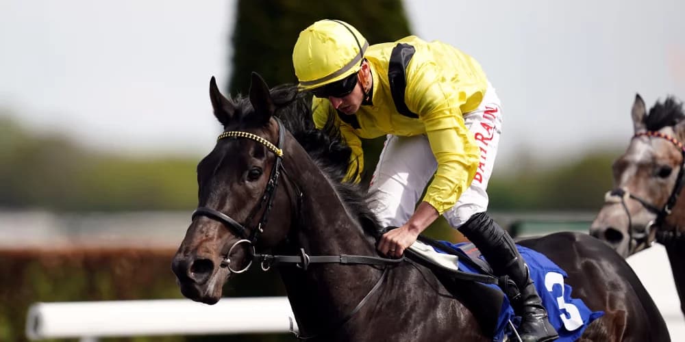 Tom Marquand Confident Maljoom Will Shine in Return to Mile at Leopardstown