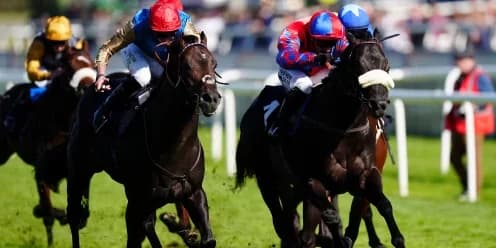 Wathnan Racing Targets Breeders' Cup Glory with Aesterius Wathnan Racing Targets Breeders' Cup Glory with Aesterius