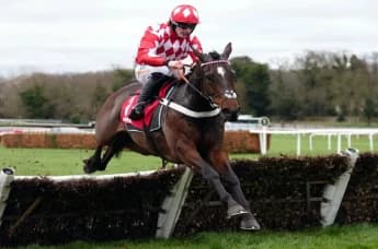 Jingko Blue Impresses on Chasing Debut with Victory at Uttoxeter Jingko Blue Impresses on Chasing Debut with Victory at Uttoxeter