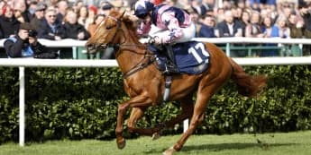 Dylan Cunha hoping Zminiature can mix it with the best at Ascot