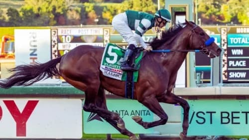 Flightline: The Undefeated Phenom Who Redefined Greatness Flightline: The Undefeated Phenom Who Redefined Greatness