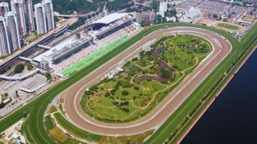 Sha Tin Racecourse: The Crown Jewel of Hong Kong Horse Racing Sha Tin Racecourse: The Crown Jewel of Hong Kong Horse Racing