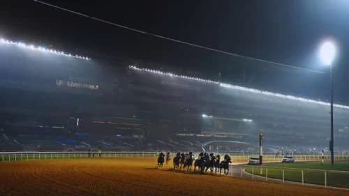 Meydan Racecourse: The Crown Jewel of Global Horse Racing Meydan Racecourse: The Crown Jewel of Global Horse Racing