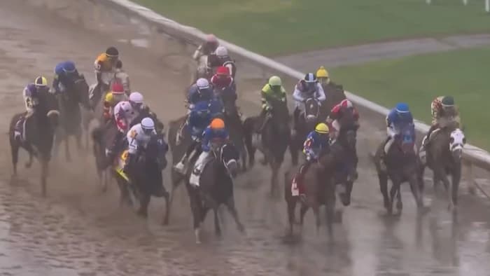 Smart Sensors Cut Fatal Racehorse Injuries by 20% in New Breakthrough Study