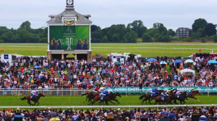 York Racecourse: A Jewel in British Horse Racing