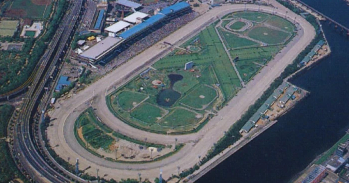 Japan Racetrack House Tokyo Racecourse: The Crown Jewel of Japanese Horse Racing
